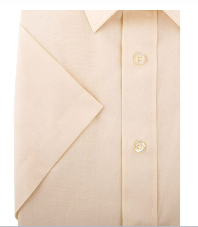  D2 Half Sleeve Shirt Cream SHS4500B-2